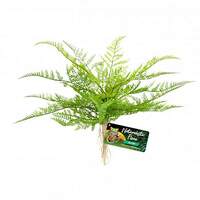 Zoo Med Lace Fern 35cm