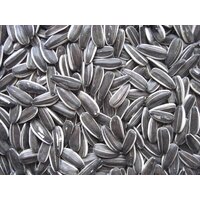 Avigrain Grey Stripe Sunflower Seed 5kg