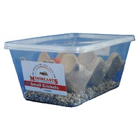 Minibeasts Crickets Extra Small Tub 5-8mm