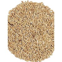 Avigrain Plain Canary Seed 2.5kg