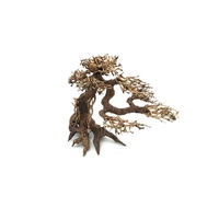 Bonsai Driftwood 40x30cm