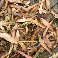 Fish Organic Dried Gum Leaves 150g