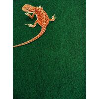 Komodo Reptile Carpet 60x50cm Habitat Substate