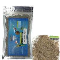 Australian Black Worms Freeze Dried 10g Original