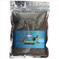 Australian Black Worms Freeze Dried Loose 50g