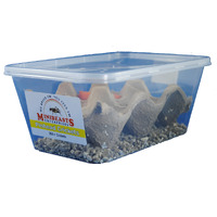 Minibeasts Crickets Pinhead Tub 2-3mm