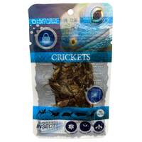 Jurassic Natural Cricket 6g Super Fresh Insects