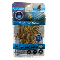 Jurassic Natural Mealworm 20g Super Fresh Insects