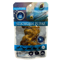 Jurassic Natural Silkworm Pupae 15g Super Fresh Insects