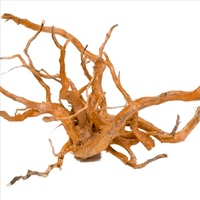 Gold Vine Spider Wood Small 20-35Cm Driftwood