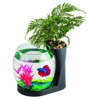 Blue Planet Betta Planter Black 1L