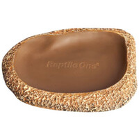 Reptile One Dyno Rock Dish Shallow Feeding Medium 30326