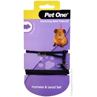 Pet One Leash & Harness Guinea Pig Black 49232BK