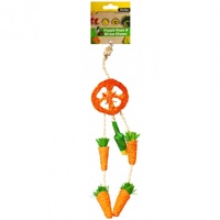 Pet One Veggie Rope And Straw Chew Hanging Dreamcatcher 26cm 20472