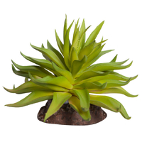 Reptile One Plant Mini Carpobrotus Green With Ceramic Base 46839