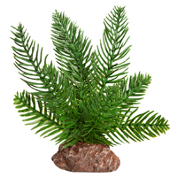 Reptile One Plant Sm Sago Palm Green With Ceramic Base 46841