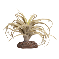 Reptile One Plant Md Exserta Green With Ceramic Base 22cm 46845