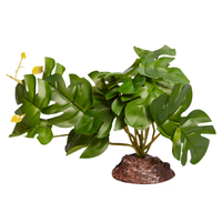 Reptile One Plant Md Rhaphidophora Green With Ceramic Base 46847