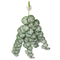 Reptile One Hanging Plant Brunnera Green Silver 70cm 46709