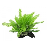 Amazon Jungle Filmy Fern M 28cm