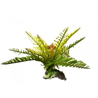 Amazon Jungle Filmy Fern L 30cm