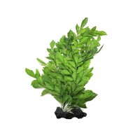 Amazon Jungle Upright Fern XL 35cm