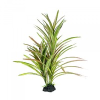 Amazon Jungle Upright Spinifex XL 42cm