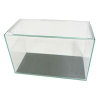 Petworx Glass Tank 12X7X8" 30X18X20Cm Polished Edges Glass Lid Foam Base