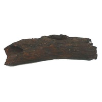 Petworx M Catfish Log 21X5X5Cm Cave Hole Trunk