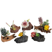 Jurassic Natural Splash Of Colour Terrarium Ornament Assorted 1pc