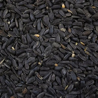 Avigrain Black Sunflower Seed 2.5kg