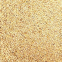 Avigrain White French Millet Seed 2.5kg