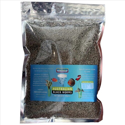 Australian Black Worms Freeze Dried Loose 50g