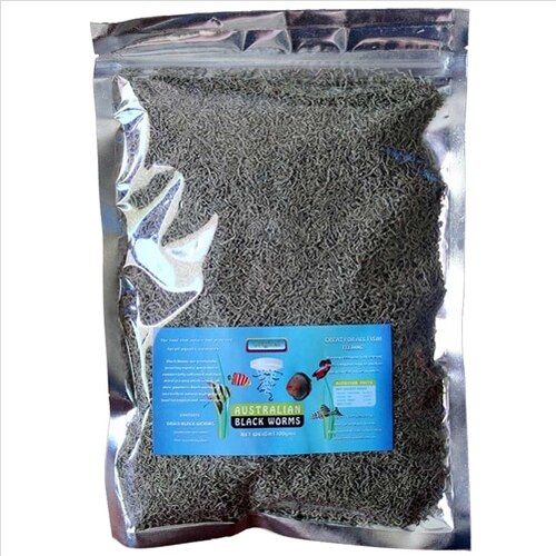 Australian Black Worms Freeze Dried Loose 100g