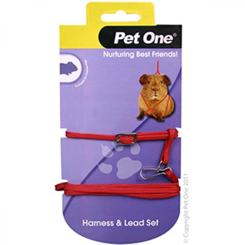 Pet One Leash & Harness Guinea Pig Red 49232R