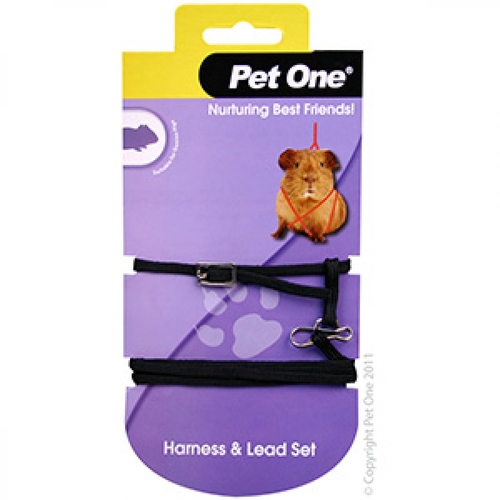 Pet One Leash & Harness Guinea Pig Black 49232BK