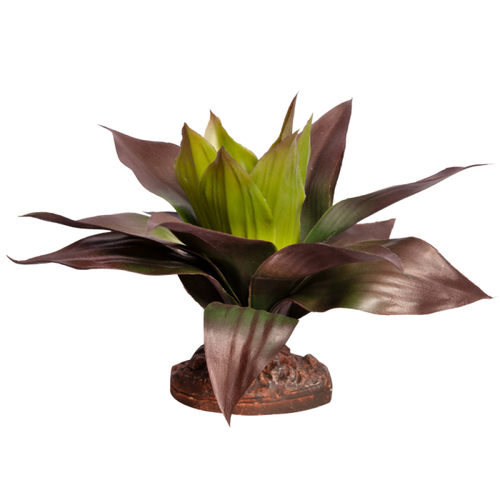 Reptile One  Plant Md Spathacea Green Red With Ceramic Base 21cm 46844