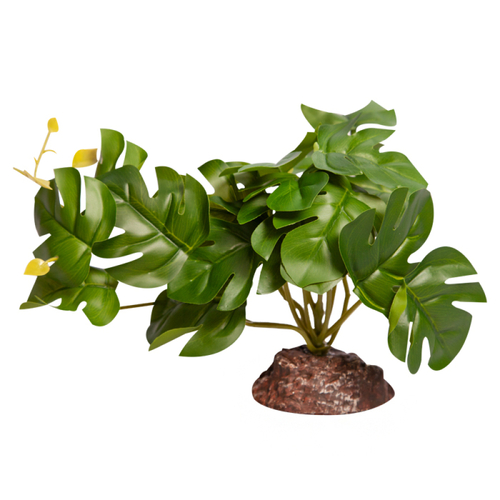 Reptile One Plant Md Rhaphidophora Green With Ceramic Base 46847