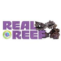 Real Reef