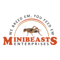 Minibeasts