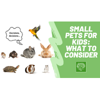 Pet Care Guides